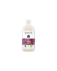 SANTE FAMILY Glanz Shampoo Bio-Birkenblatt & pflanzliches Protein